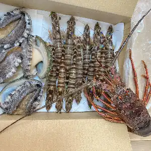 海鮮三昧 Fresh seafood