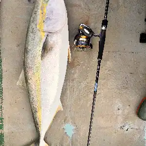 遊漁船 Boat fishing